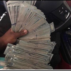 Meet your Posher, Lilly